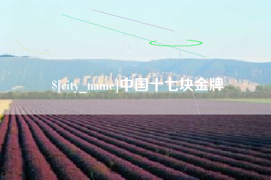 图木舒克中国十七块金牌