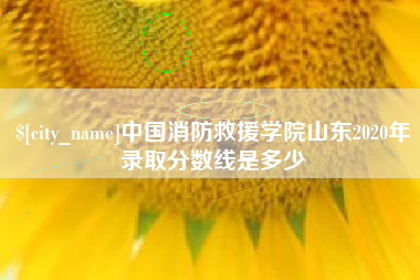 图木舒克中国消防救援学院山东2020年录取分数线是多少