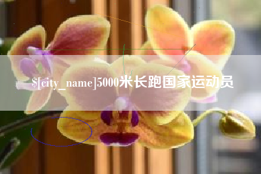 图木舒克5000米长跑国家运动员