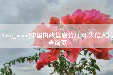 图木舒克中国执政信息公开网-失信人员查询页