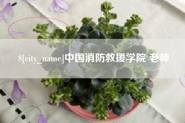 图木舒克中国消防救援学院 老师