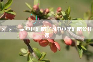 图木舒克中国消防官网中小学消防公开课
