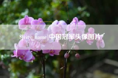 图木舒克中国冠军头像图片