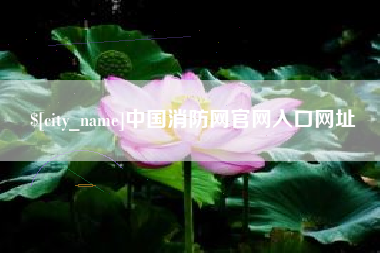 图木舒克中国消防网官网入口网址