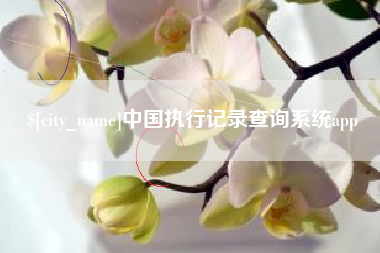 图木舒克中国执行记录查询系统app