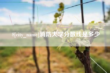 图木舒克消防大学分数线是多少