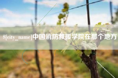 图木舒克中国消防救援学院在那个地方