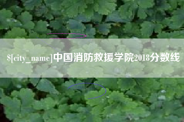图木舒克中国消防救援学院2018分数线