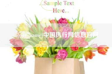 图木舒克中国执行网信息官网