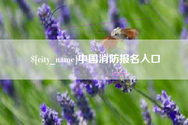 图木舒克中国消防报名入口