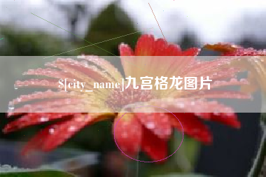 图木舒克九宫格龙图片