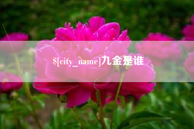 图木舒克九金是谁