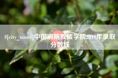 图木舒克中国消防救援学院2019年录取分数线