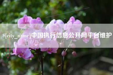 图木舒克中国执行信息公开网平台维护