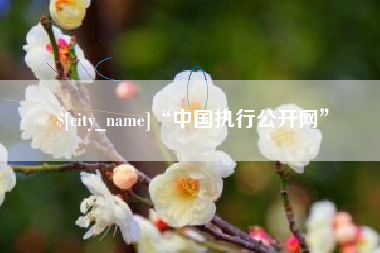 图木舒克“中国执行公开网”