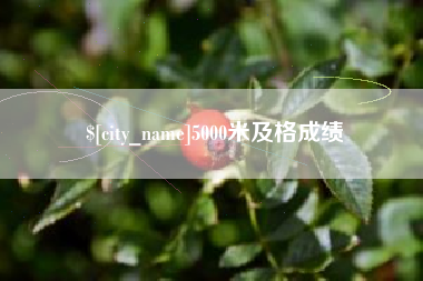 图木舒克5000米及格成绩