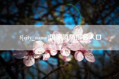 图木舒克国家消防报名入口