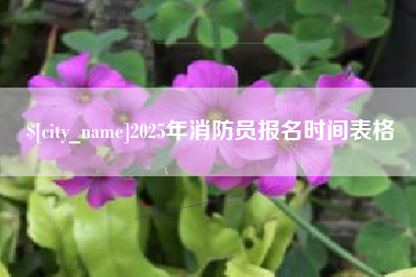 图木舒克2025年消防员报名时间表格