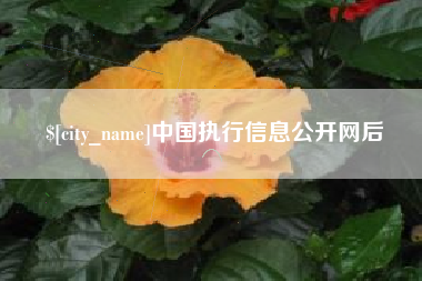 图木舒克中国执行信息公开网后