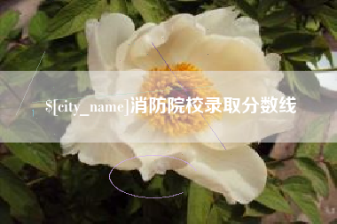 图木舒克消防院校录取分数线