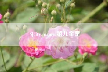 图木舒克第九金是