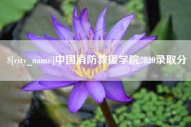 图木舒克中国消防救援学院2020录取分