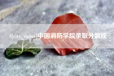 图木舒克中国消防学院录取分数线