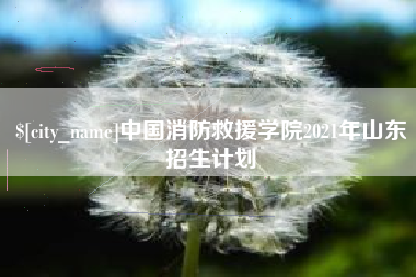 图木舒克中国消防救援学院2021年山东招生计划