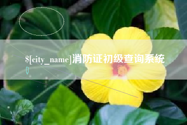 图木舒克消防证初级查询系统