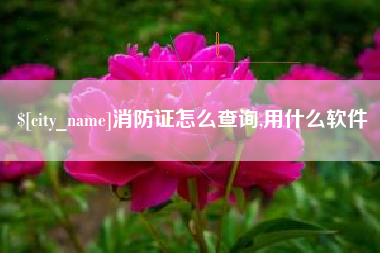 图木舒克消防证怎么查询,用什么软件