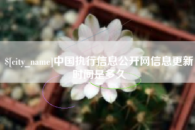 图木舒克中国执行信息公开网信息更新时间是多久