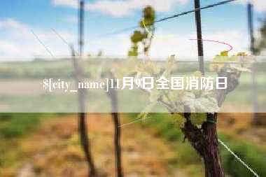 图木舒克11月9日全国消防日