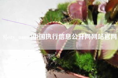 图木舒克中国执行信息公开网网站官网