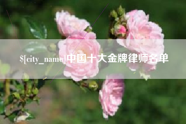 图木舒克中国十大金牌律师名单