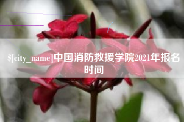 图木舒克中国消防救援学院2021年报名时间