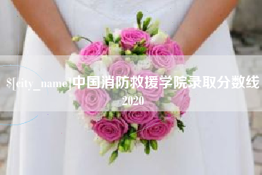 图木舒克中国消防救援学院录取分数线2020