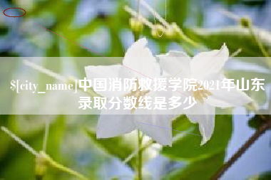 图木舒克中国消防救援学院2021年山东录取分数线是多少