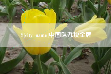 图木舒克中国队九块金牌