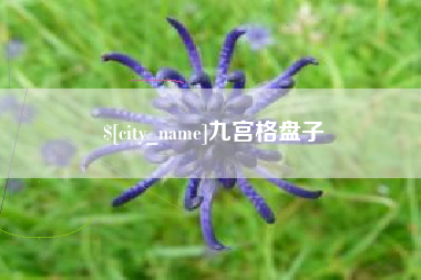 图木舒克九宫格盘子