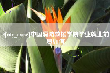 图木舒克中国消防救援学院毕业就业前景如何