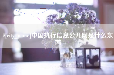 图木舒克中国执行信息公开网是什么东西
