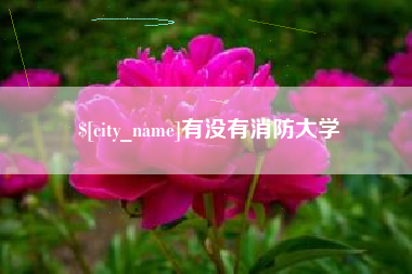 图木舒克有没有消防大学