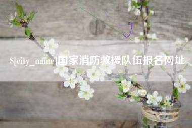 图木舒克国家消防救援队伍报名网址