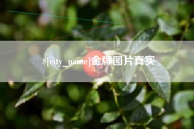 图木舒克金牌图片真实