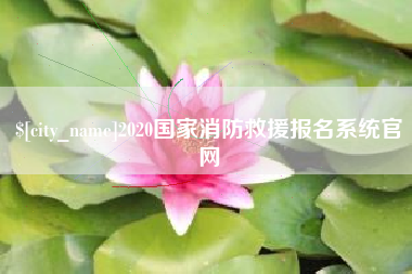 图木舒克2020国家消防救援报名系统官网