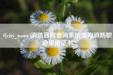 图木舒克消防官网查询系统查询消防职业资格证书