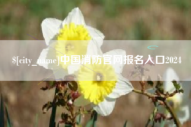 图木舒克中国消防官网报名入口2024
