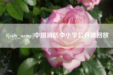 图木舒克中国消防中小学公开课回放