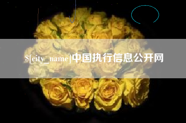 图木舒克中国执行信息公开网