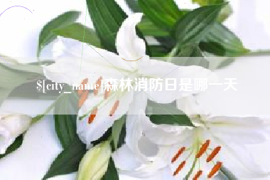 图木舒克森林消防日是哪一天